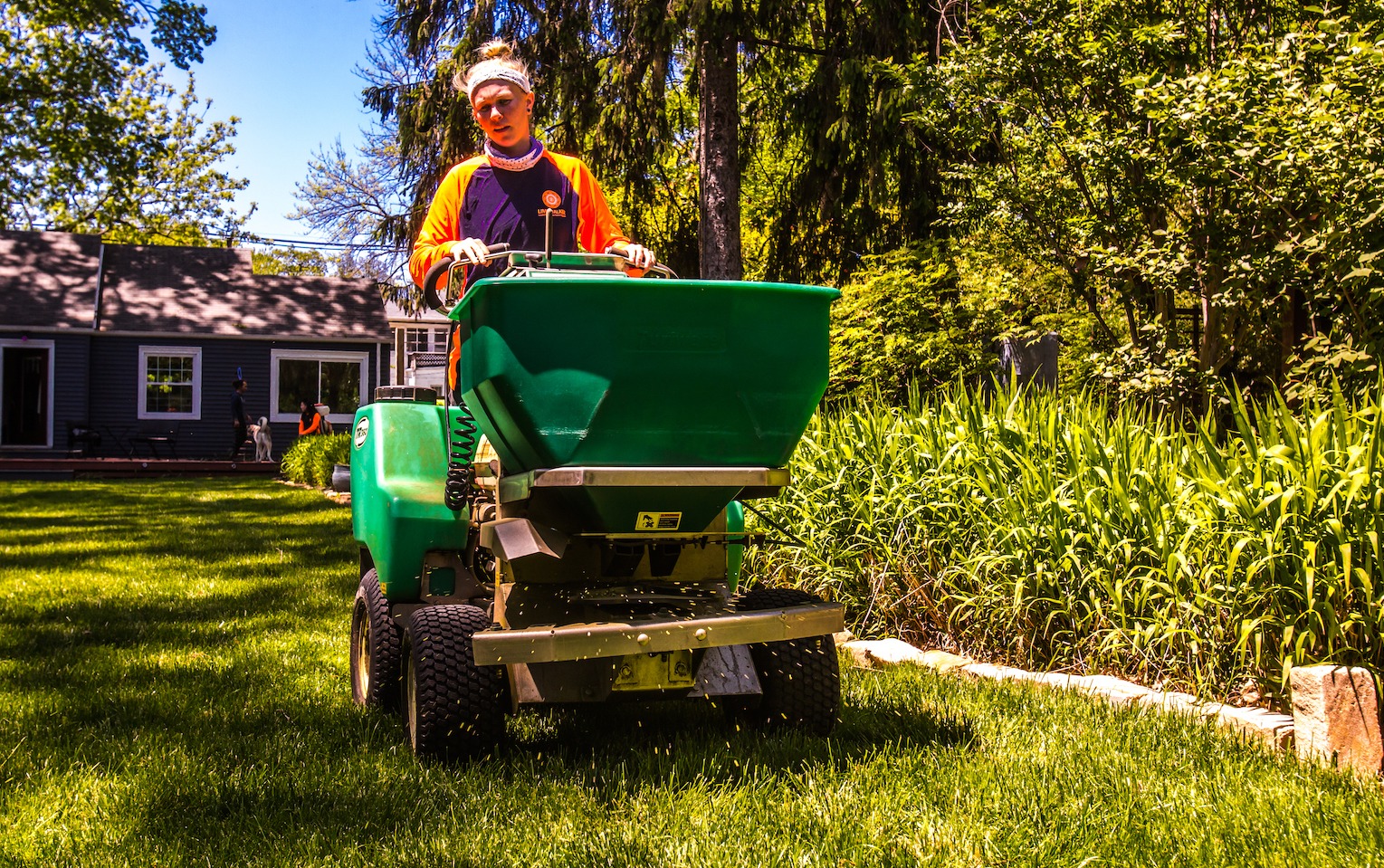 Lawn and Tree Care Careers in Louisville Limbwalker